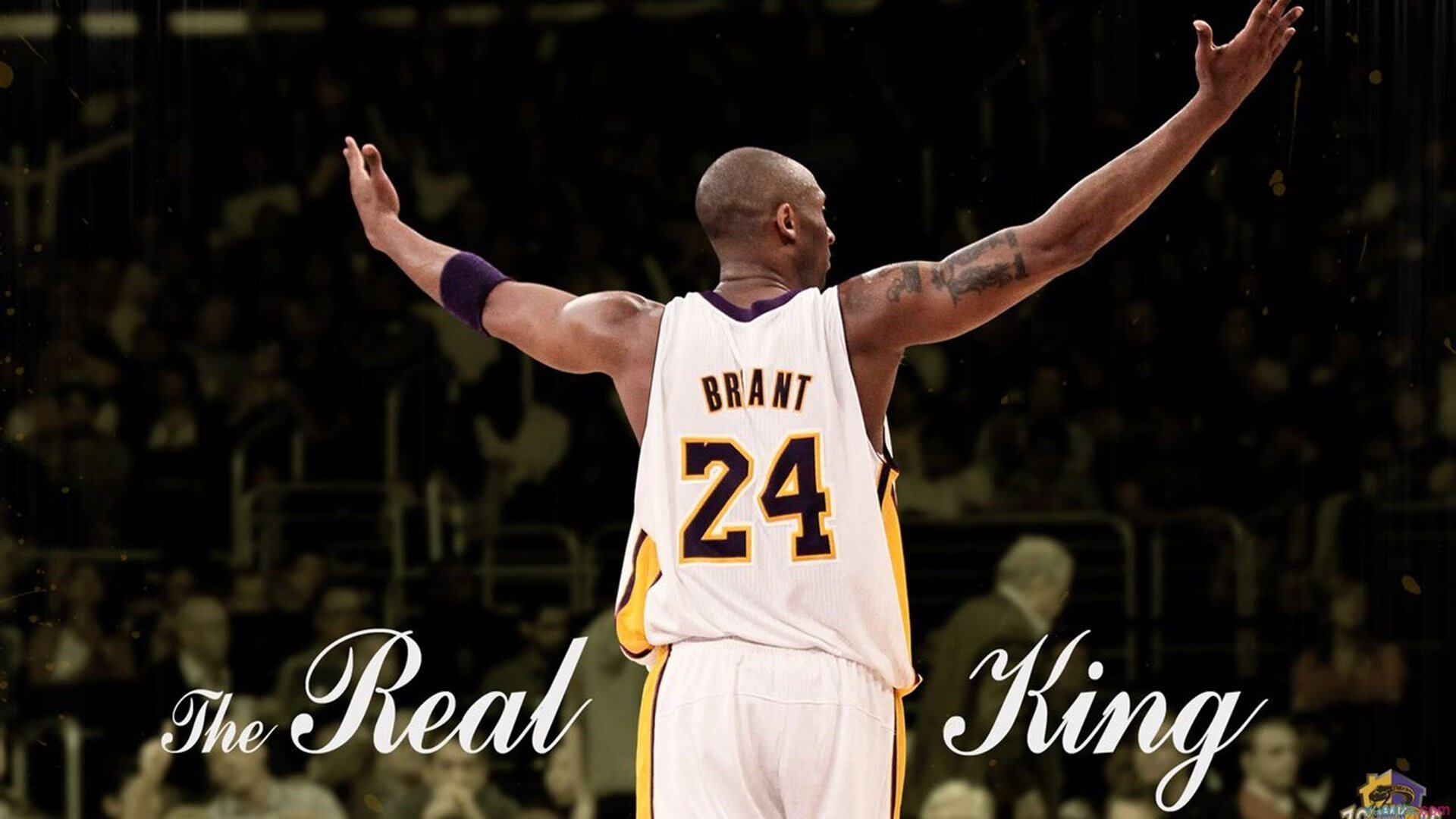 米兰体育官方网页版-2024年国际乒乓赛事新规公布，球迷期待，2021年国际乒乓球比赛时间